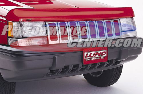 Lund Interceptor Bug Shield
